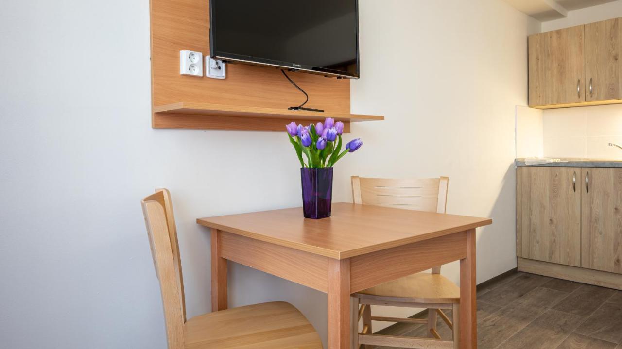 Apartmány a Studia Zámecký park Litvínov Exterior foto
