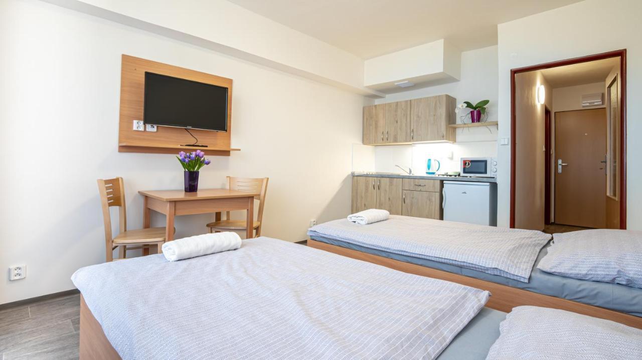 Apartmány a Studia Zámecký park Litvínov Exterior foto
