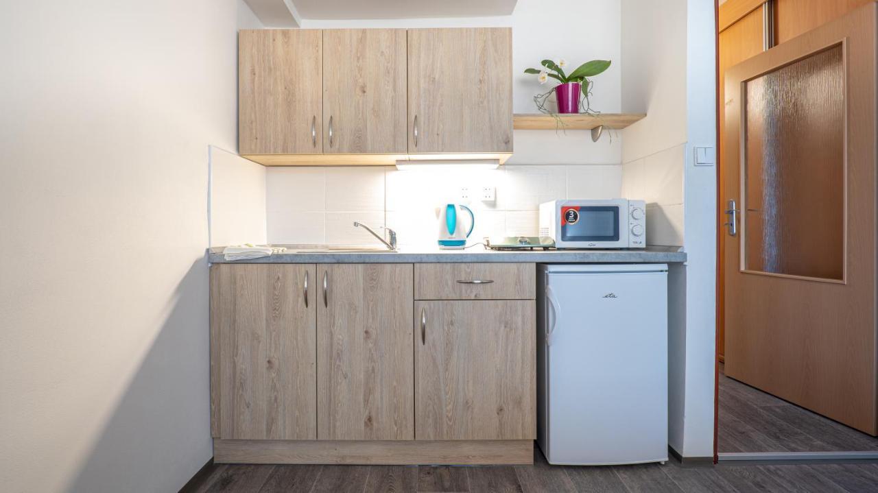 Apartmány a Studia Zámecký park Litvínov Exterior foto